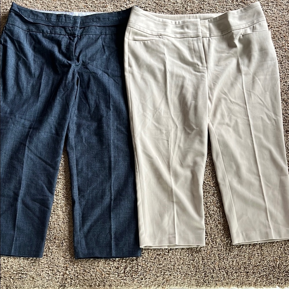 Maurices Navy and Cream Capris